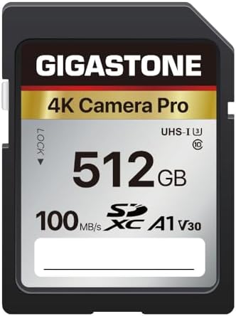 Recuperación de datos gratuita de 5 años: tarjeta SD GIGASTONE de 512 - Image 2
