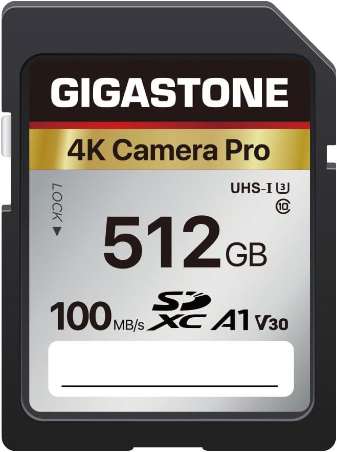 Recuperación de datos gratuita de 5 años: tarjeta SD GIGASTONE de 512