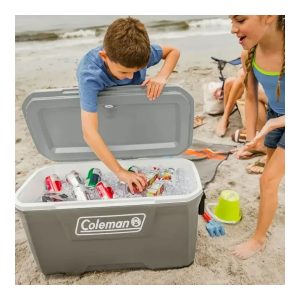 Conservadora 70Qt Gris - Image 3
