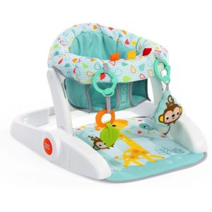 Asiento Entrenador 2 En 1 Bright Starts Learn To Sit Wild Vibes Kd1754