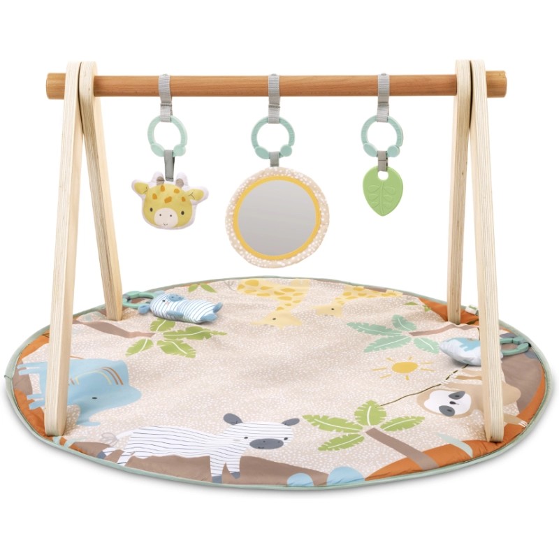 Gimnasio Con Arco De Madera Ingenuity Kd17448